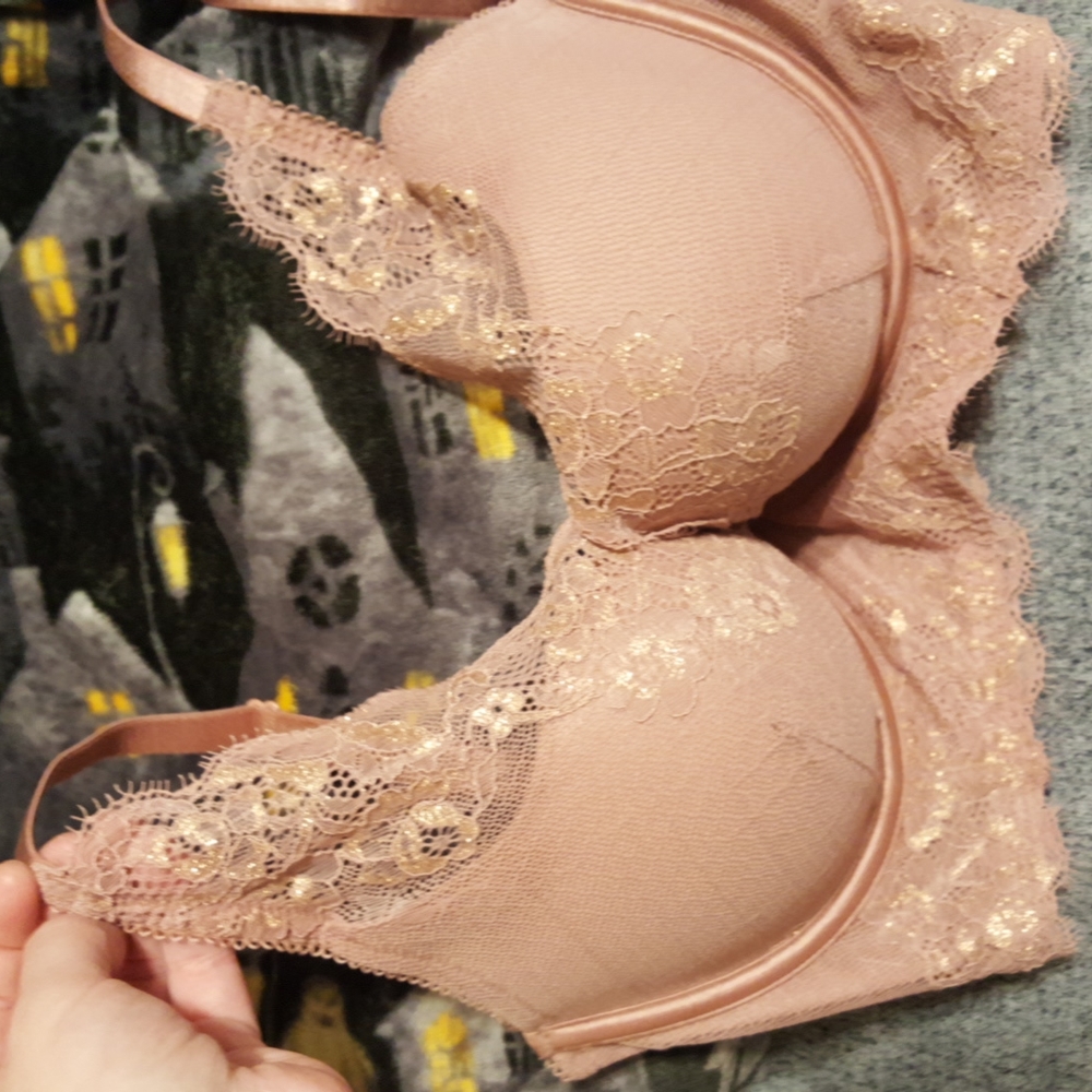 LACE DEEP V PLUNGE BRA. NEW NEVER WORN.